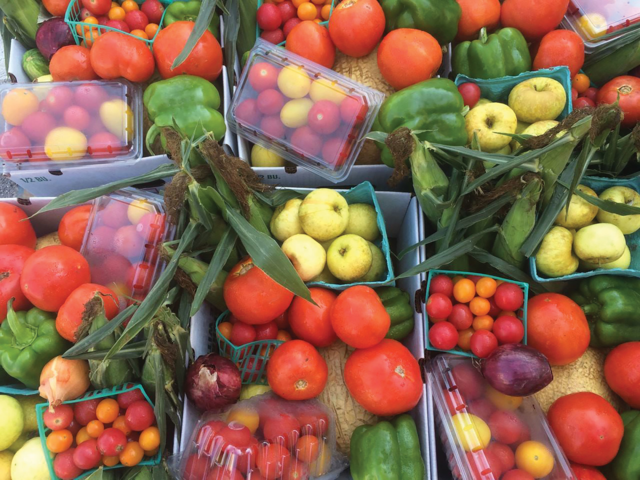 CSAs Provide Farm-to-Table Goodness in Middle Tennessee