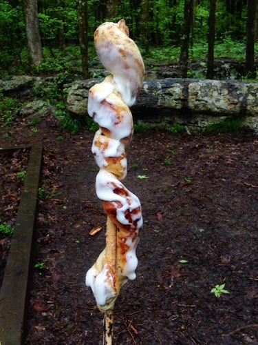 What'd You Eat This Weekend? Biscuits Au Jus, a Rainbow Snowcone and the Best Coffee Soda in the World