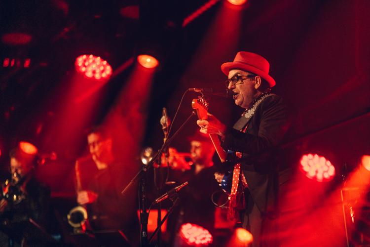1.29.2024.ElvisCostello-9229.jpg