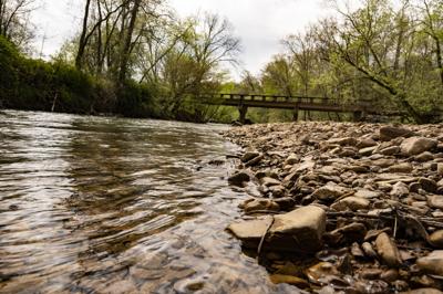 Trace Creek