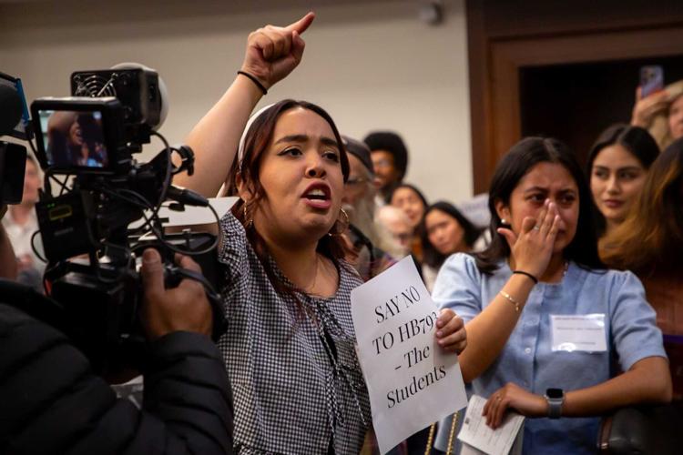 HB793 protestors