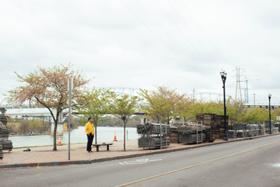 As the Mulch Settles on Cherry Blossom Gate, Tree Advocates Look Ahead