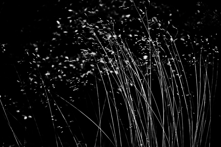 Photography Issue 2013