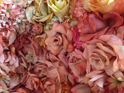 Studio Visit: Emily Clayton