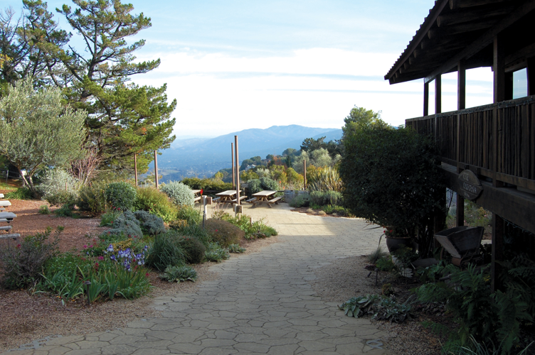 Wine in Common: On Montebello Road
