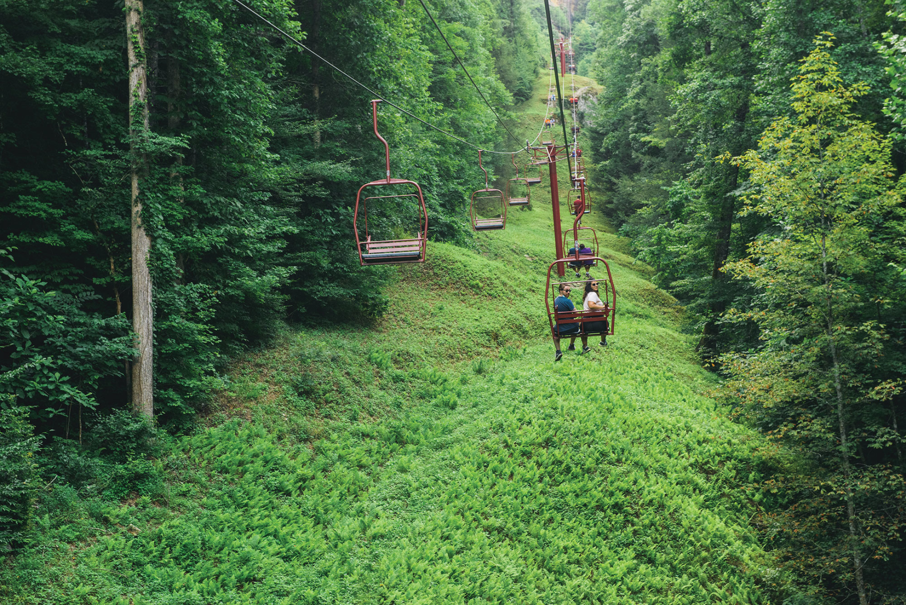 The Road Trip Issue 2020: Red River Gorge, Kentucky