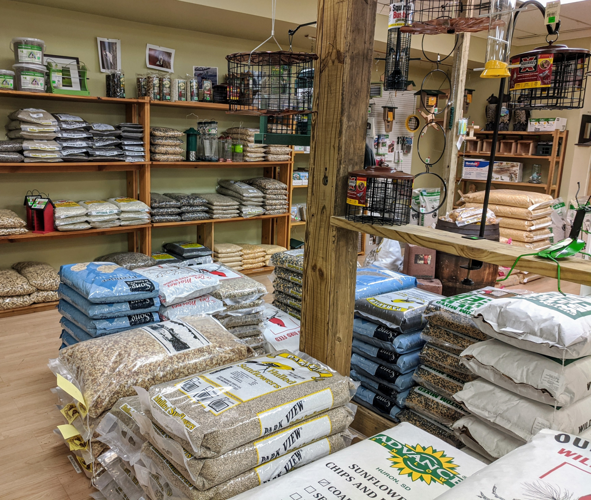 Shop Hop: The Wood Thrush