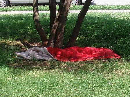 Fannie Mae Dees Park: A Review