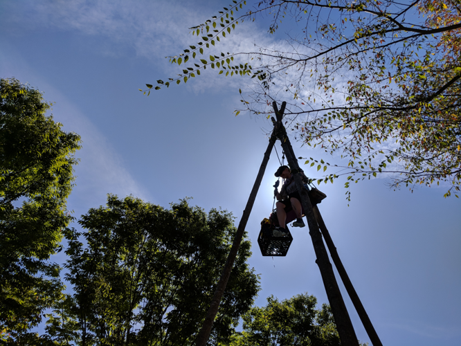 Protesters Have Put CoreCivic's Headquarters on 'Lockdown'