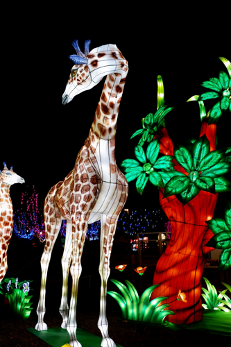 A Tour of Nashville’s Biggest and Brightest Holiday Displays