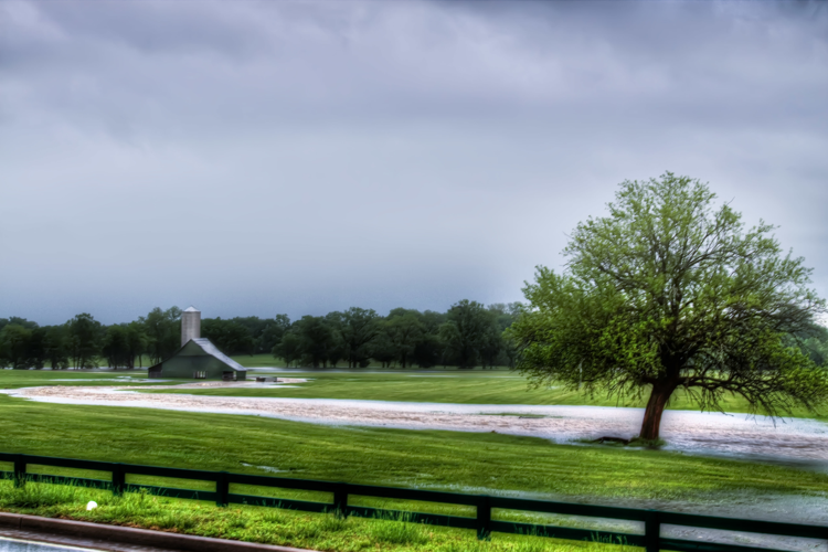 2010 Flood