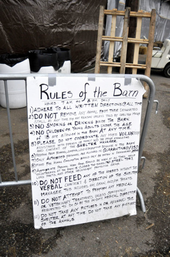 All the Starving Horses