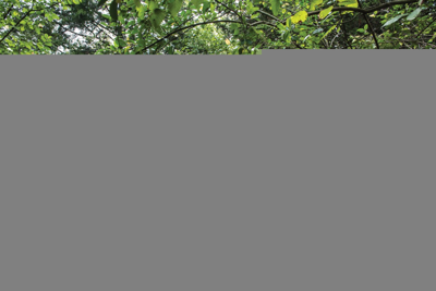 Mayor's Office Defends Closing Fort Negley Homeless Encampment