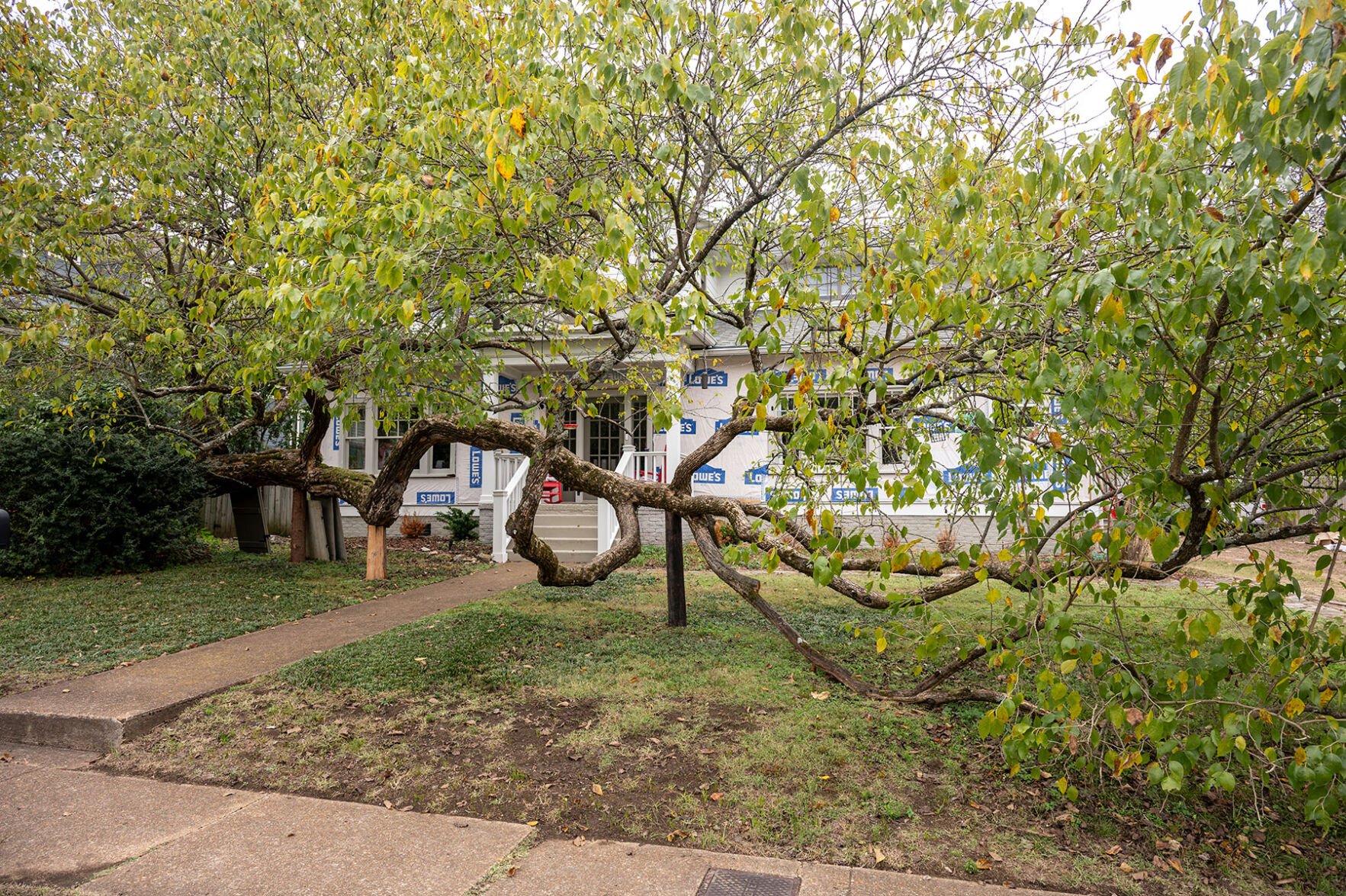 2522Ashwood-1181.jpg