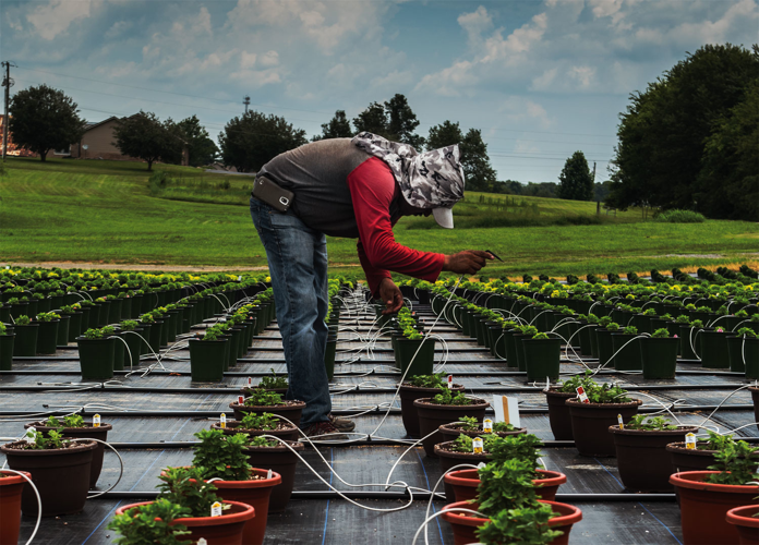 The Uncertain Fate of Migrant Workers and Their Families