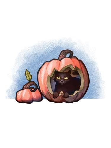 Illustration of a black cat in a pumpkin