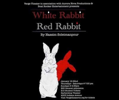 White-Rabbit-Red-Rabbit-at-Verge-Theatre.jpg