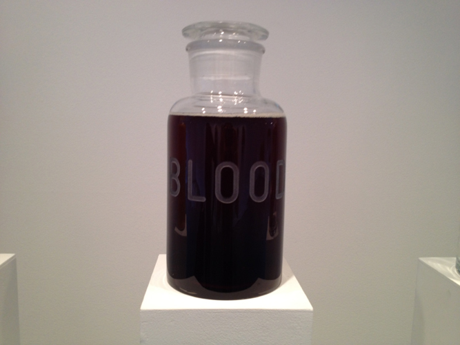 Installation View: Mathilde Roussel's <i>Anatomia Botanica</i> at Cheekwood