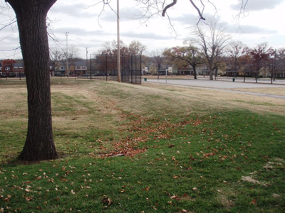 McFerrin Park: A Review