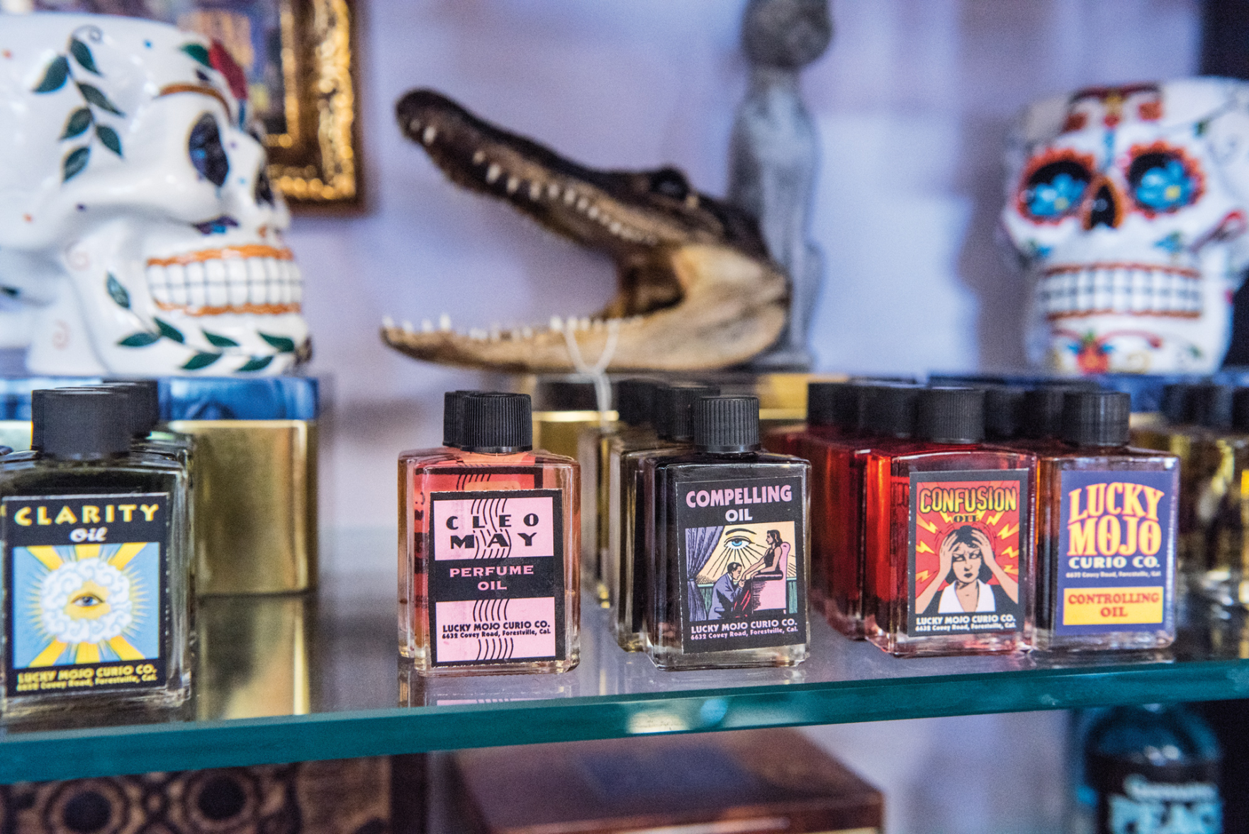 Best Place to Buy an Alligator Foot in Donelson