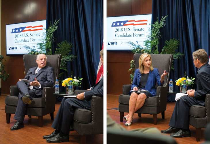 Bredesen vs. Blackburn