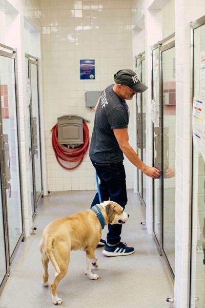 Humane-Society_0042.jpg