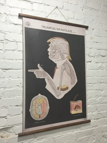 Anatomy of Trump: Sideshow Sign Co.