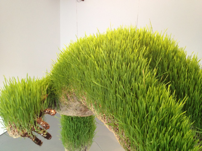 Installation View: Mathilde Roussel's <i>Anatomia Botanica</i> at Cheekwood