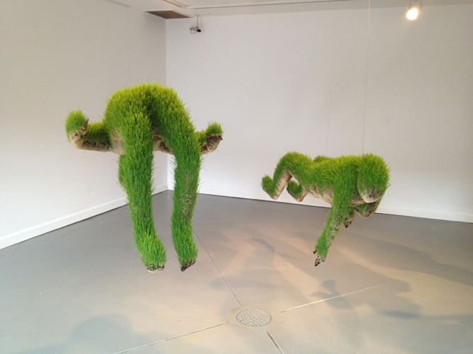 Installation View: Mathilde Roussel's <i>Anatomia Botanica</i> at Cheekwood