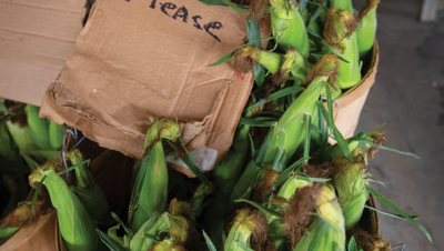 Best Quarantine-Friendly Grocery Option