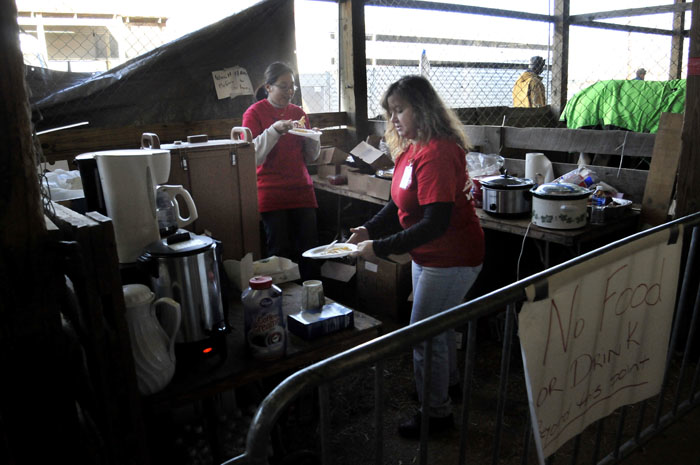 All the Starving Horses