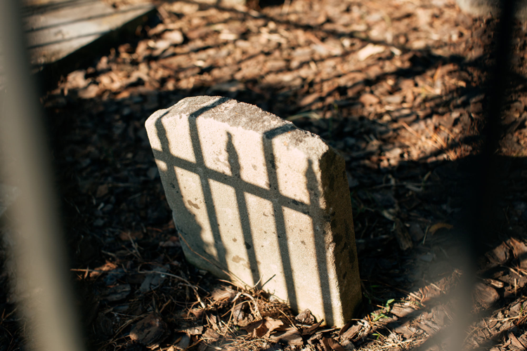 Walk a Mile: Whites Creek