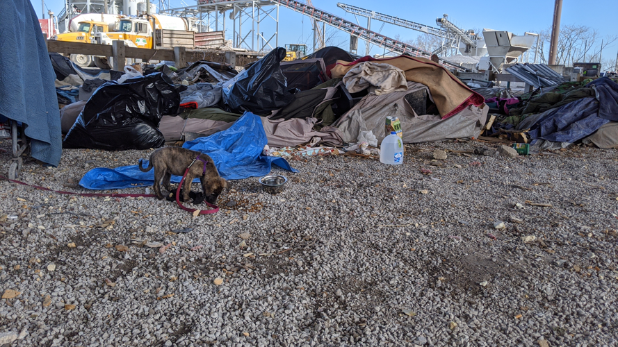 How Nashville’s Homeless Community and Its Advocates Weathered the Storm