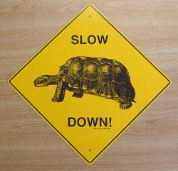 Slow Food Dinner: Farm to Table