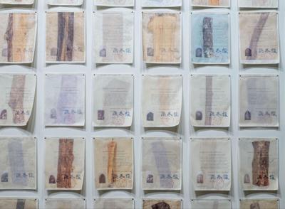 HannahLanger_Dispersal-TheChoiceofRediscovery