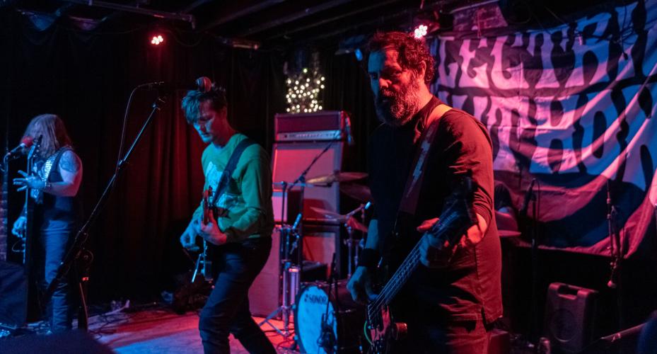 Electric Python high res-1.jpg