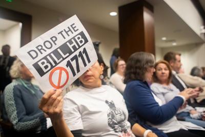 Immigration Protesters In House Committee