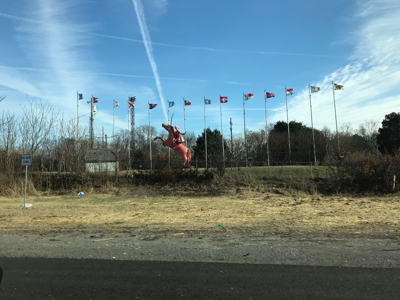 Rebel Fail: Area Confederate General Defeated Again