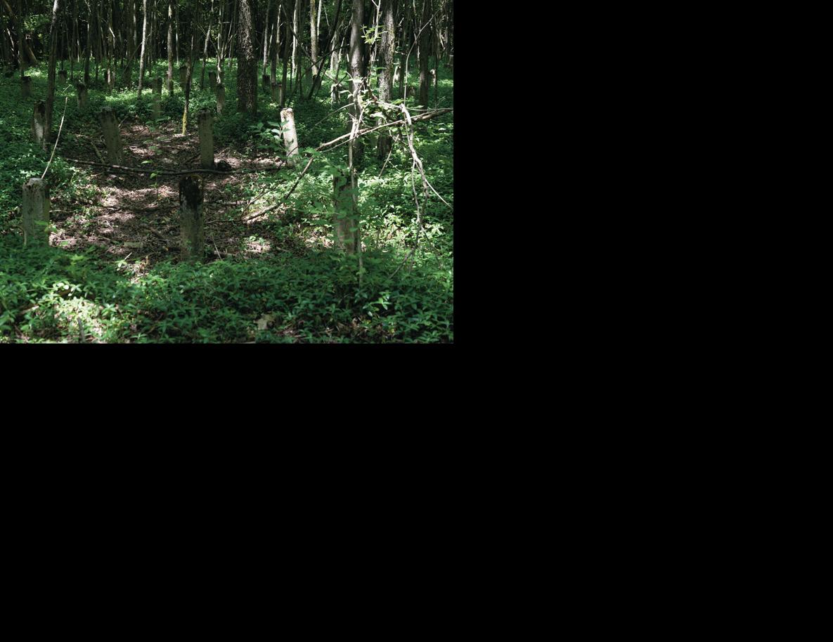 benevolentCementary-6452.jpg
