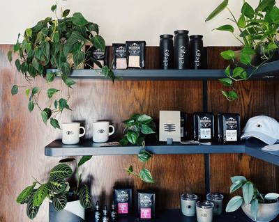 Oasis Design Studio .jpeg