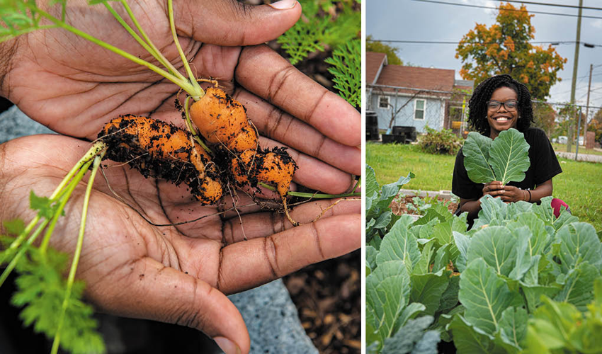 Black Farmers Feed Their Neighbors and Connect With Their Ancestors