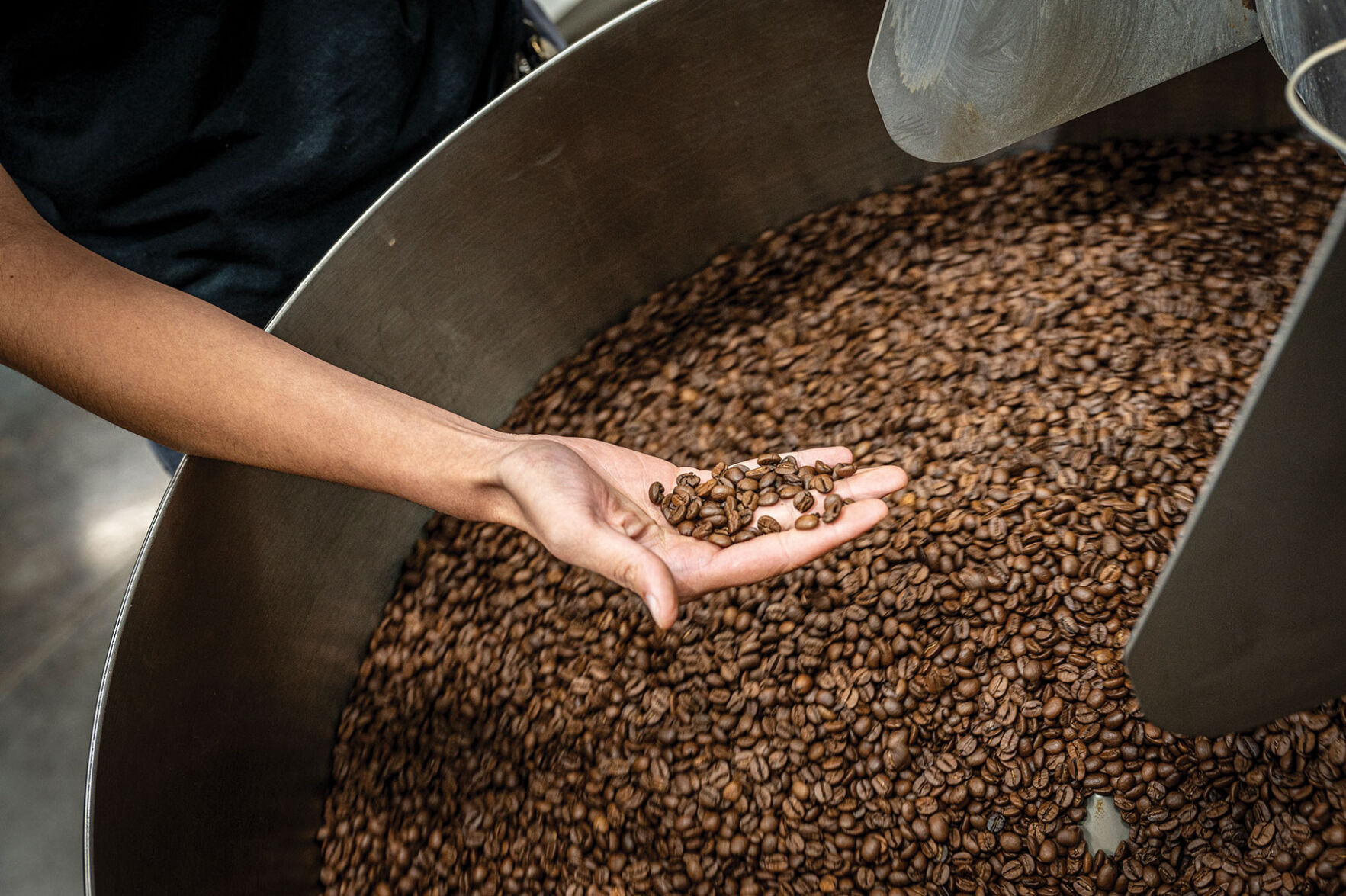 A hand reaching into a metal tub of coffee beans