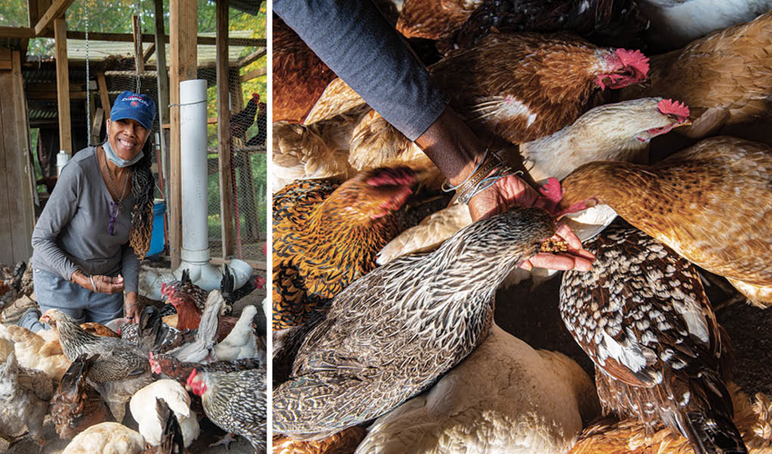 Black Farmers Feed Their Neighbors and Connect With Their Ancestors