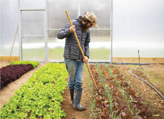 CSAs Provide Farm-to-Table Goodness in Middle Tennessee