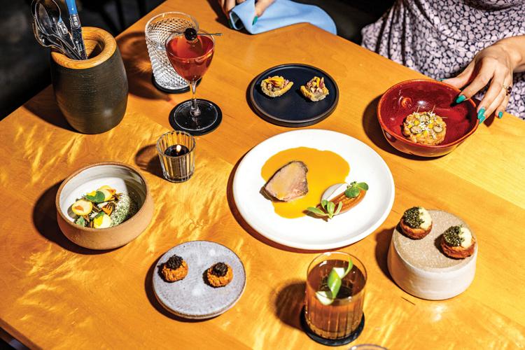 Several plates of small portions of food