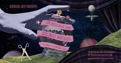 The-Disco-Ball--Wildest-Dreams