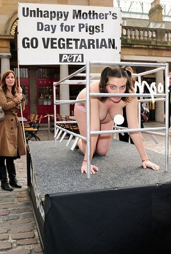 A Sin Tax on Meat: The PETA Pigs are Coming to Nashville