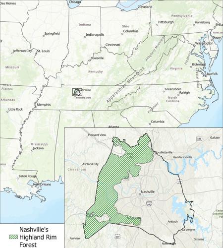 A map highlighting how much territory within Davidson County is covered by the Highland Rim Forest