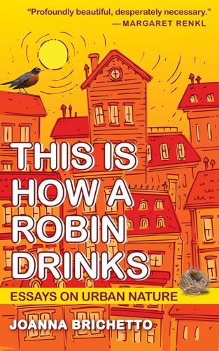 This Is How a Robin Drinks