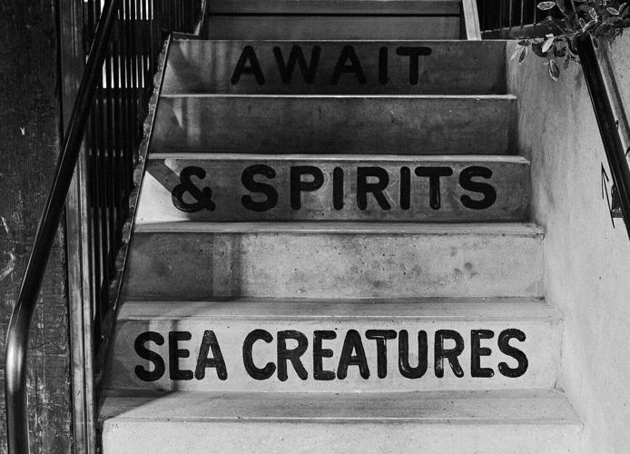 Le Loup steps hi.jpeg